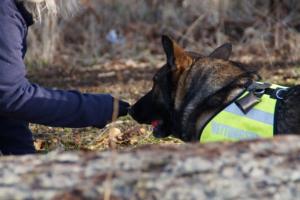 17.02.2019 Training Nanzenbach